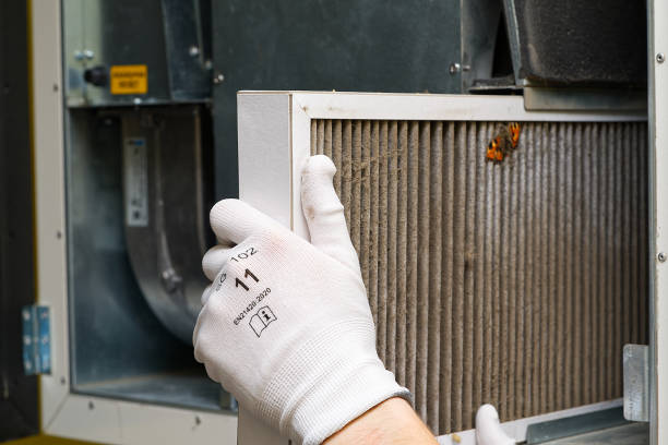 Best Home Air Vent Cleaning  in Brooklet, GA