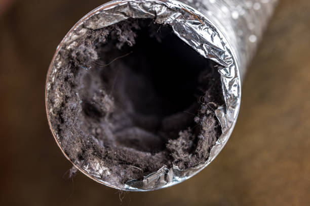 Brooklet, GA Airduct Cleaning Pros