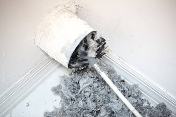 Best Affordable Duct Cleaning Services  in Brooklet, GA
